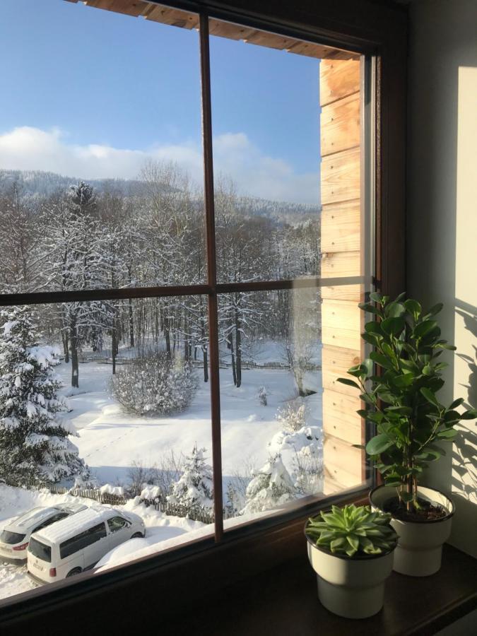 Ubytovani U Potoka Destne v Orlickych horach Εξωτερικό φωτογραφία